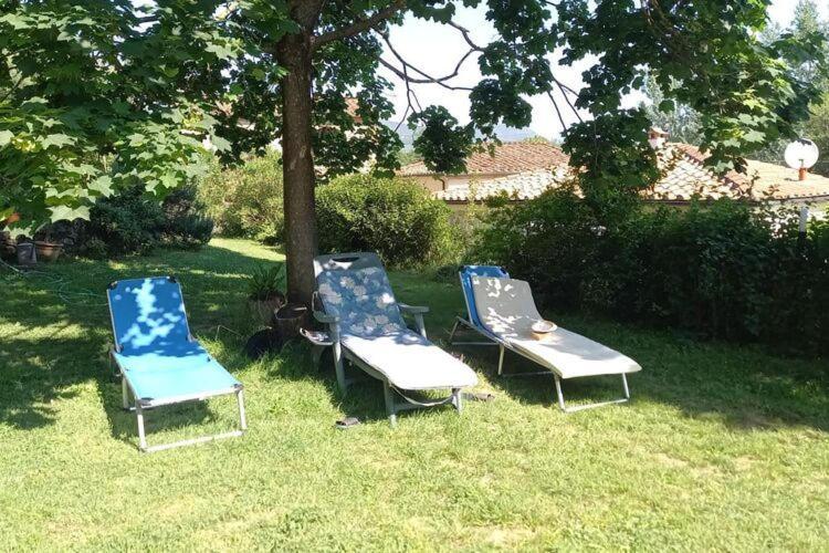 Holiday Home Casa Carla, Ripafratta Eksteriør billede